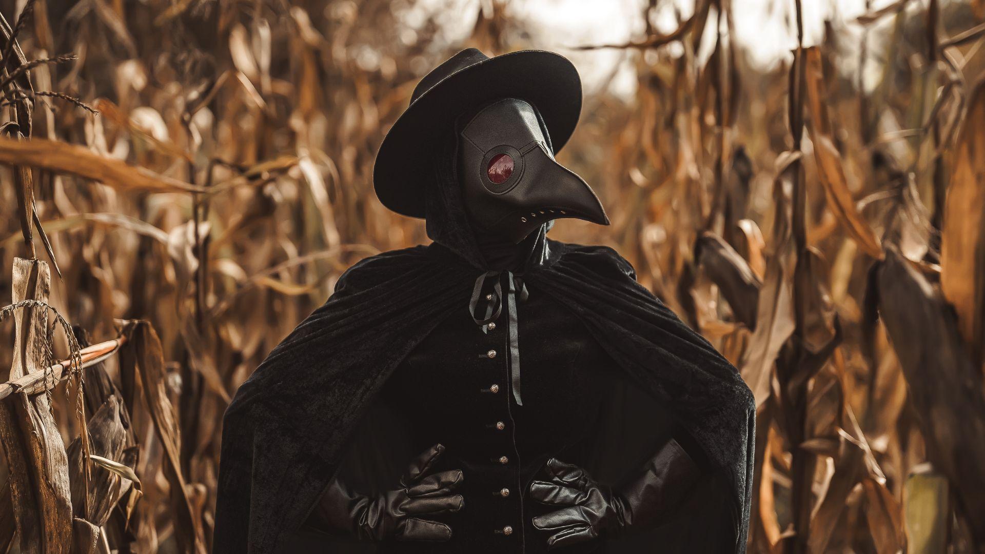 Bubonic Plague Strikes New Case in Colorado